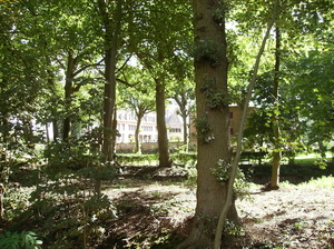 Deinze September 2011 020