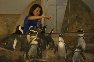 Onderzoekscentrum Nausicaa in Boulogne-sur-Mer