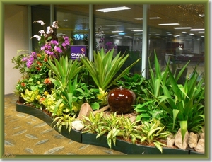Singapore Airport