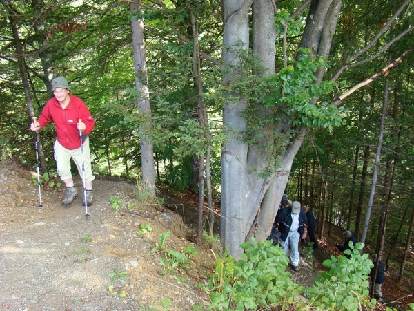 DSC04475