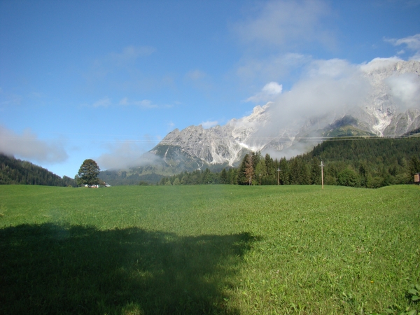 DSC04478