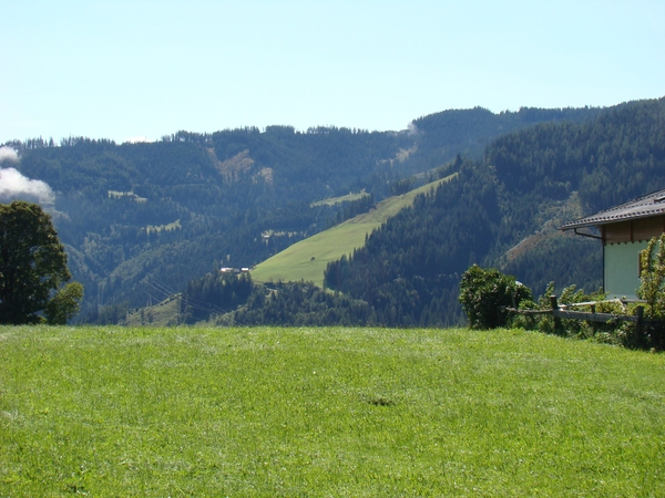 DSC04484