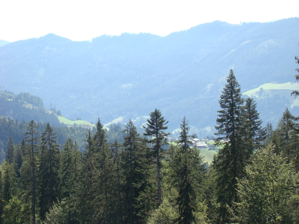 DSC04506