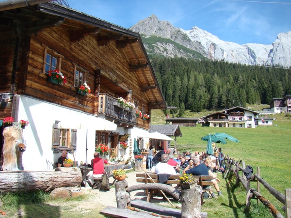 DSC04519