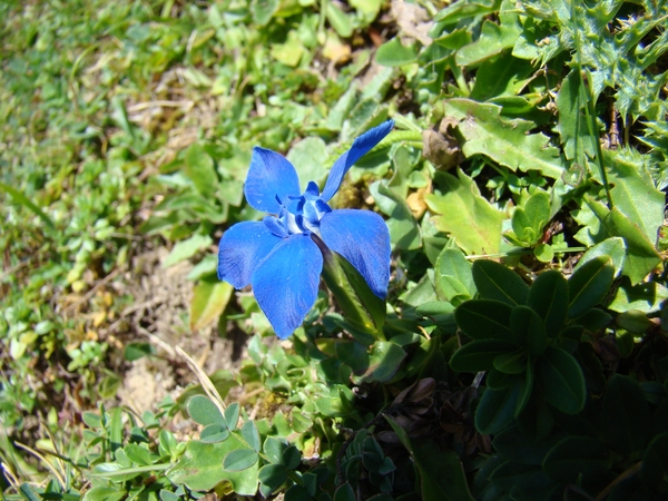 DSC04523