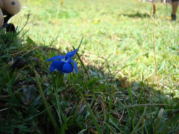 DSC04526