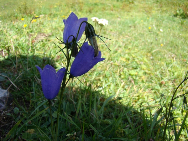 DSC04527