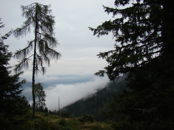 DSC04535