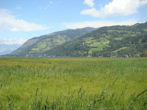DSC04596