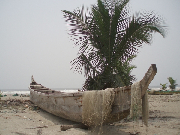 Cte d' Ivoire  februari 2008 020