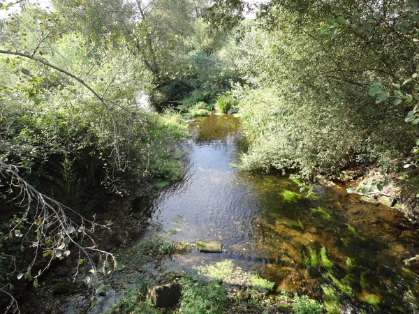 DSC00249