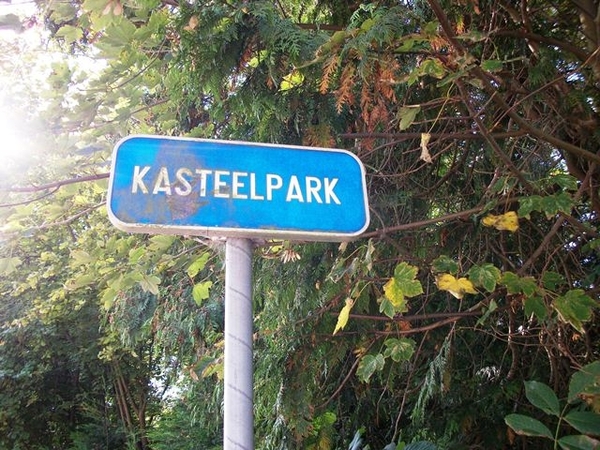 08-De grondslag v.d.druiventeeld in de serres van Huldenbergkast.