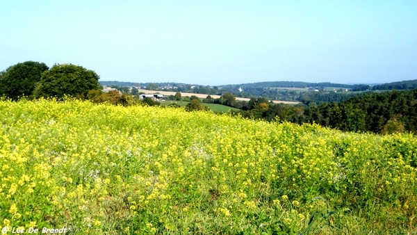 wandeling marche Adeps Walcourt