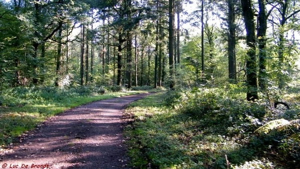 wandeling marche Adeps Walcourt