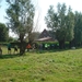 DSC03605