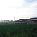 DSC03619