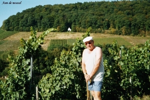 wandeling aan de moezel