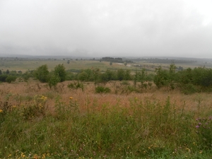 SAM_1182