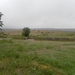 SAM_1185