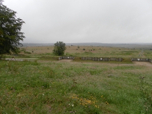 SAM_1185
