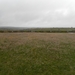 SAM_1187