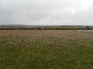 SAM_1187
