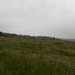 SAM_1188