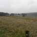 SAM_1191