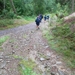 SAM_1197