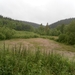 SAM_1201