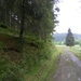 SAM_1207