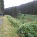 SAM_1214