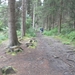 SAM_1221