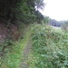 SAM_1228