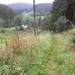 SAM_1229