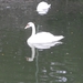 SAM_1243