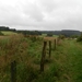 SAM_1246