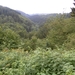 SAM_1249