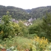 SAM_1251