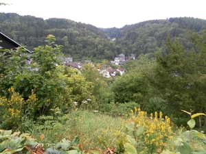 SAM_1251