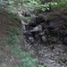 SAM_1268