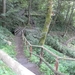 SAM_1269