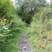 SAM_1281