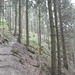 SAM_1284