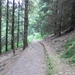 SAM_1285