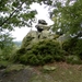 SAM_1287