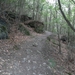 SAM_1291
