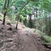 SAM_1292