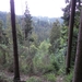 SAM_1293