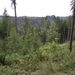 SAM_1294